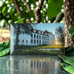 BIRŽŲ PILIS, pieninis šokoladas bananų skonio  